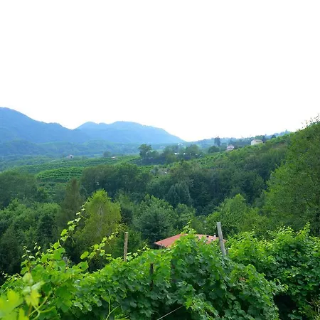 فندق مبيت وإفطار Agriturismo Casa Di Campagna 3*