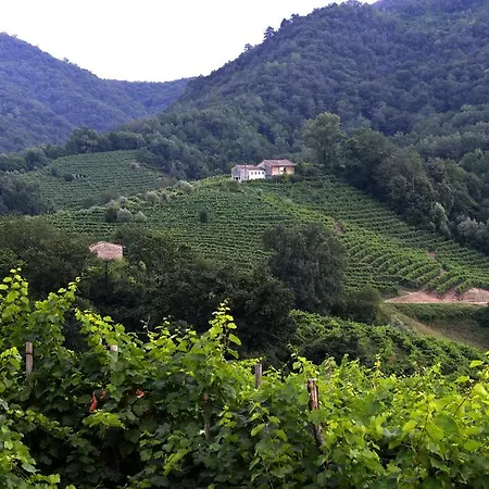 Agriturismo Casa Di Campagna B&B 3*
