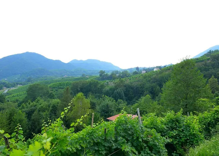 Bed & Breakfast Agriturismo Casa di Campagna 3*