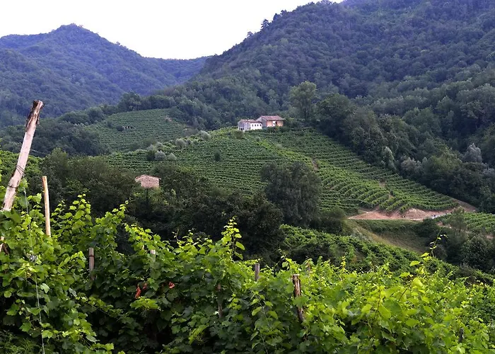 Agriturismo Casa Di Campagna Bed & Breakfast 3*